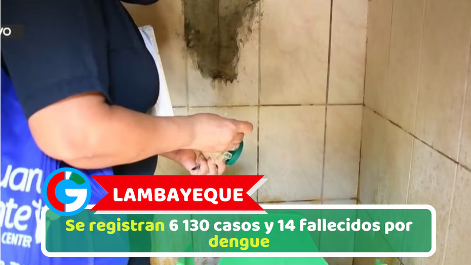 Lambayeque: Se registran 6 130 casos y 14 fallecidos por dengue