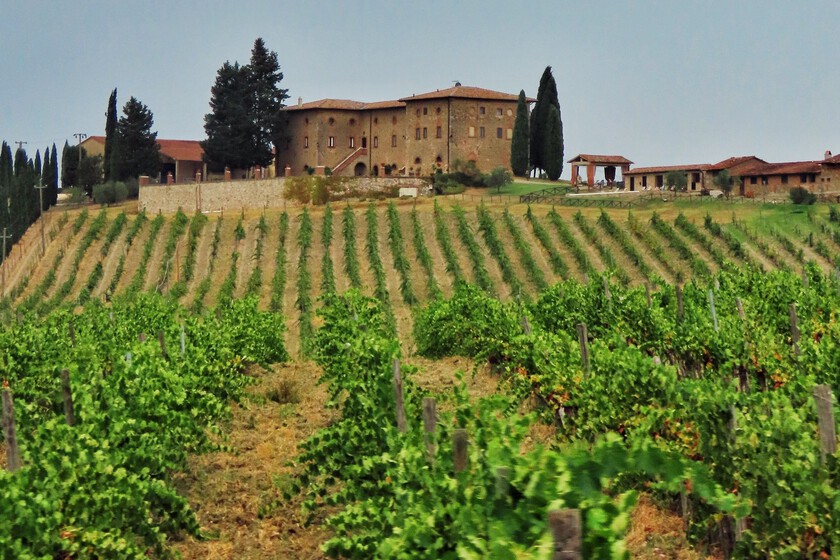 El robo del siglo en la Toscana: alguien se ha llevado en dos camiones 30.000 botellas de vino valoradas en cinco millones de euros