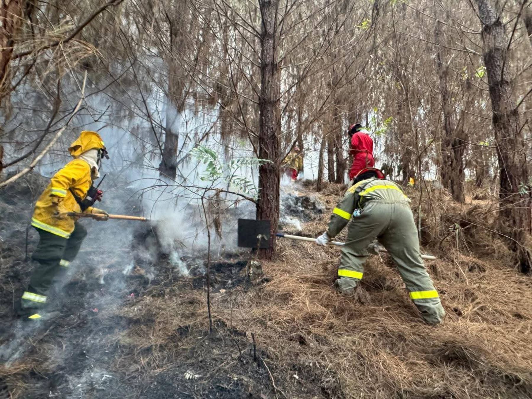 Extinguen cinco incendios forestales en regiones Arequipa, Cusco y Pasco