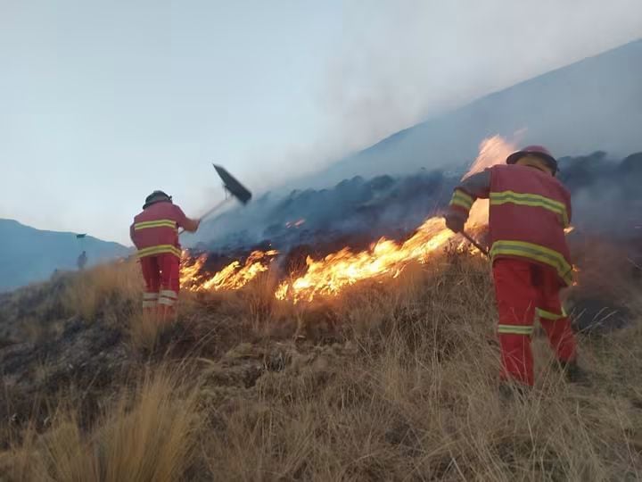 Siete regiones en alerta por incendios forestales activos: las zonas expuestas