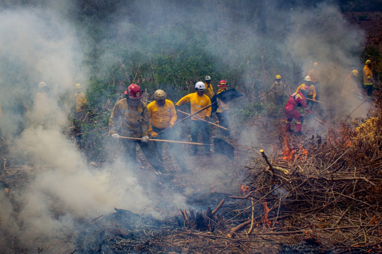 Cusco: Incendio forestal de grandes proporciones deja un fallecido en Yanahuara