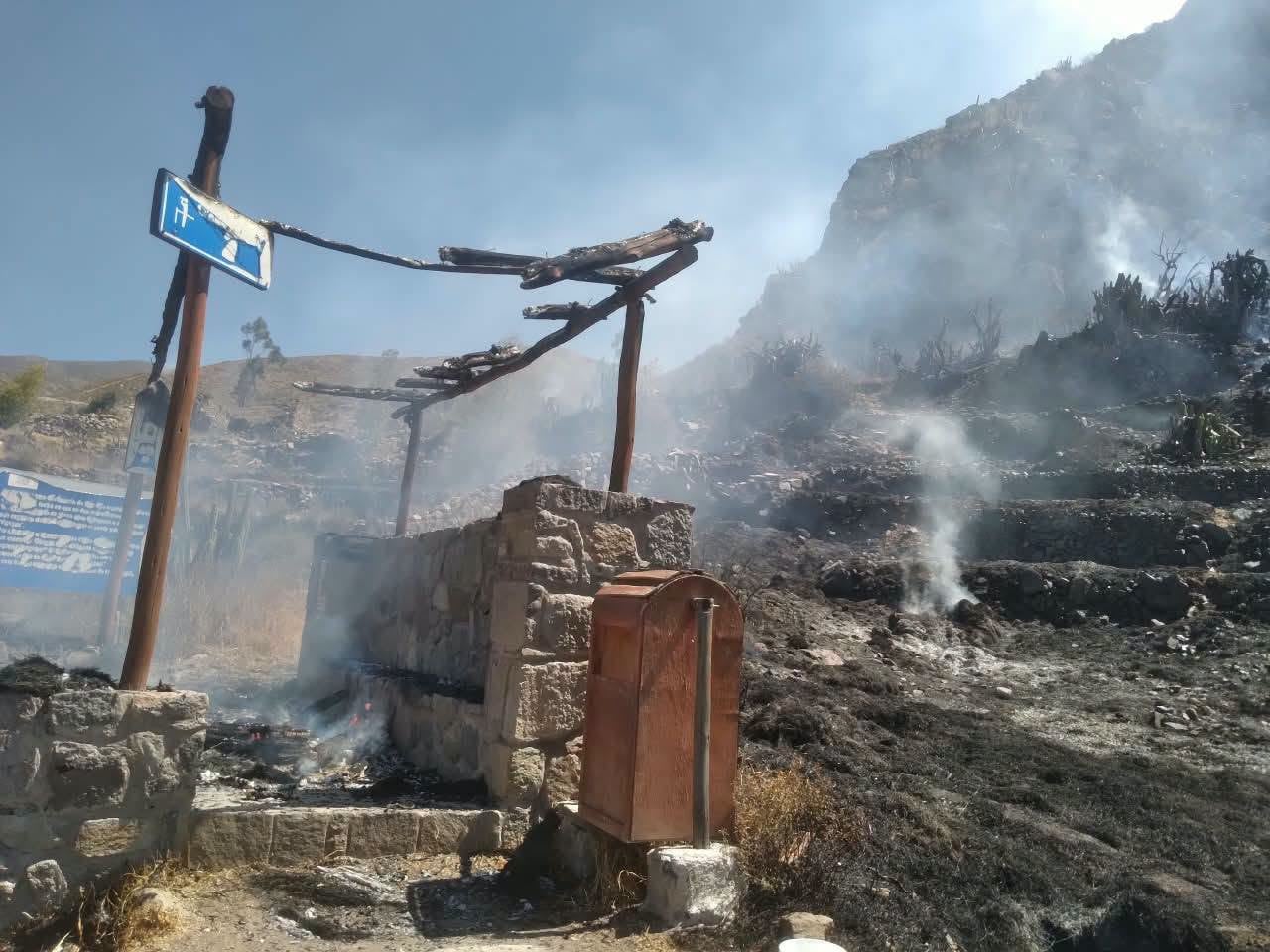 Arequipa: Incendio forestal amenaza alrededores de complejo arqueológico Uyo Uyo