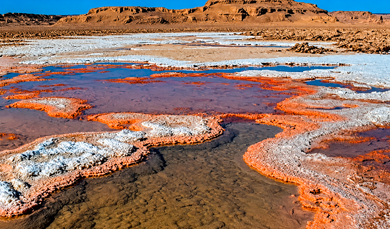 Uno de los lugares más calientes del mundo alberga vida: así es el desierto patrimonio de la humanidad cuyo suelo superó los 80 °C