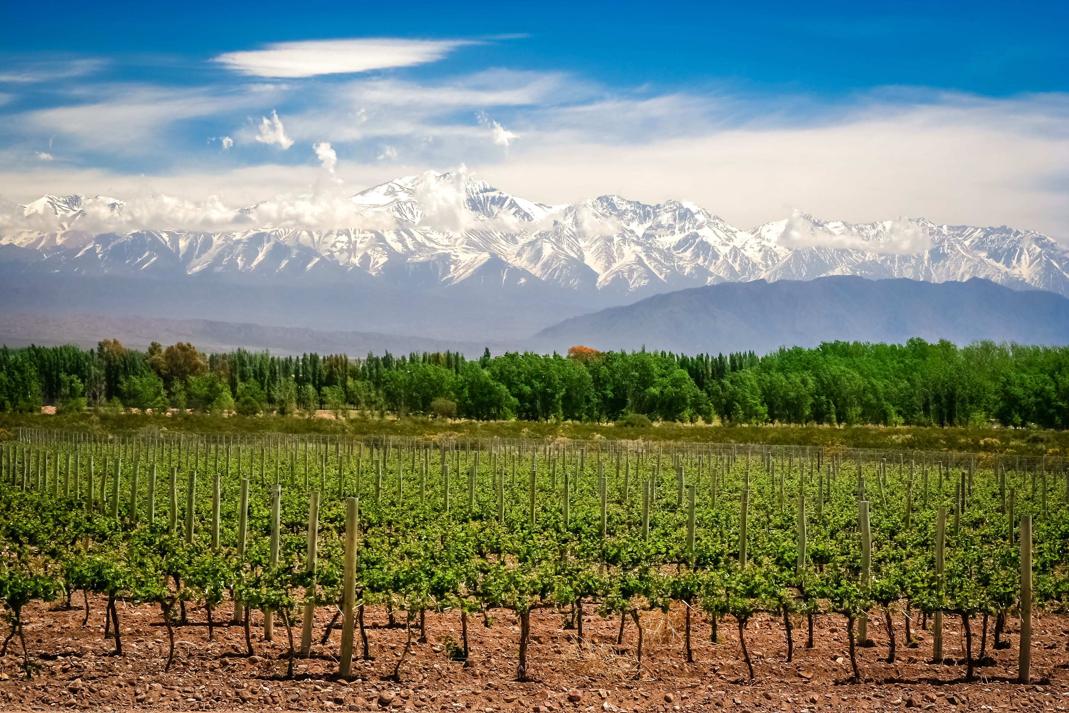 Vinos: el arte de desafiar la montaña