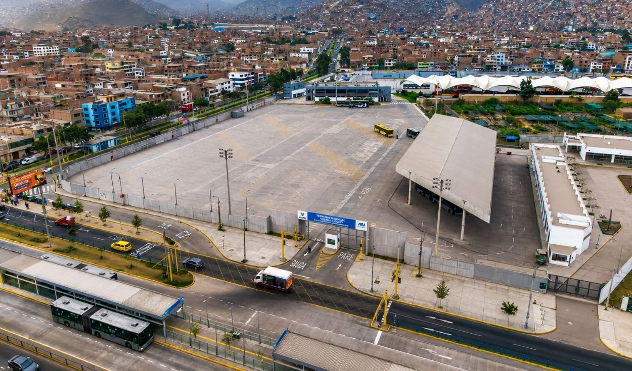 Bosque de 24.000 árboles del parque Sinchi Roca en Comas desapareció tras cederse terreno al Metropolitano