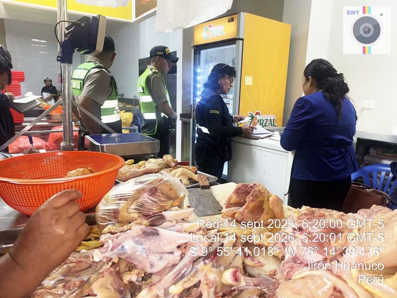 Clausuran cuatro avícolas en operativo liderado por la Fiscalía de Prevención del Delito de Huánuco
