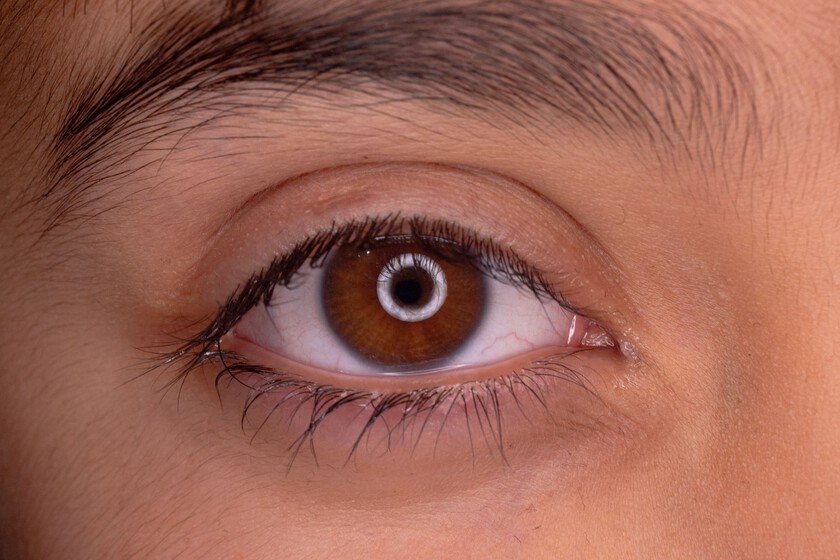 La evolución de nuestros ojos esconde un giro de guion: la ciencia apunta a un "gusano cíclope" de hace 600 millones de años