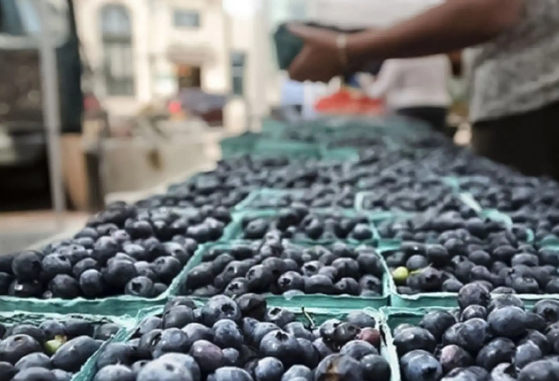 Perú es principal productor y exportador mundial de arándanos superando a Chile y España