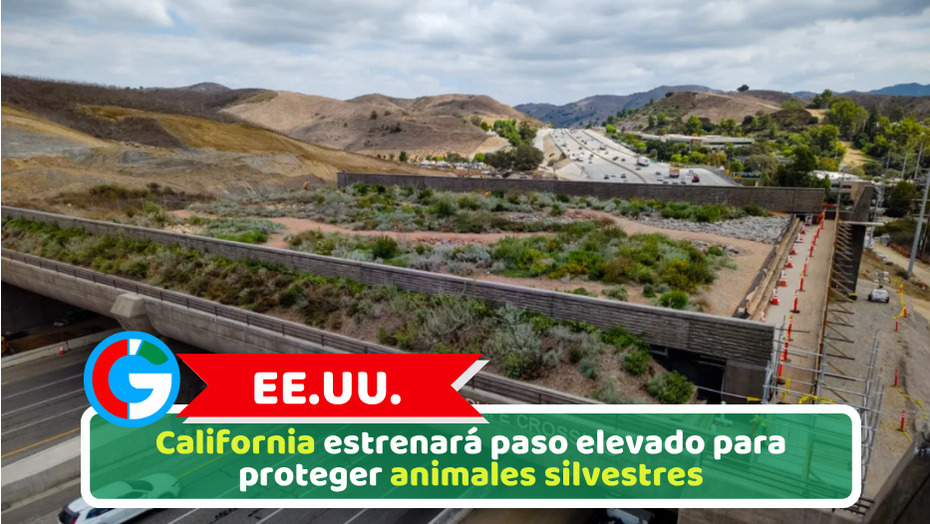EE.UU.: California estrenará paso elevado para proteger animales silvestres