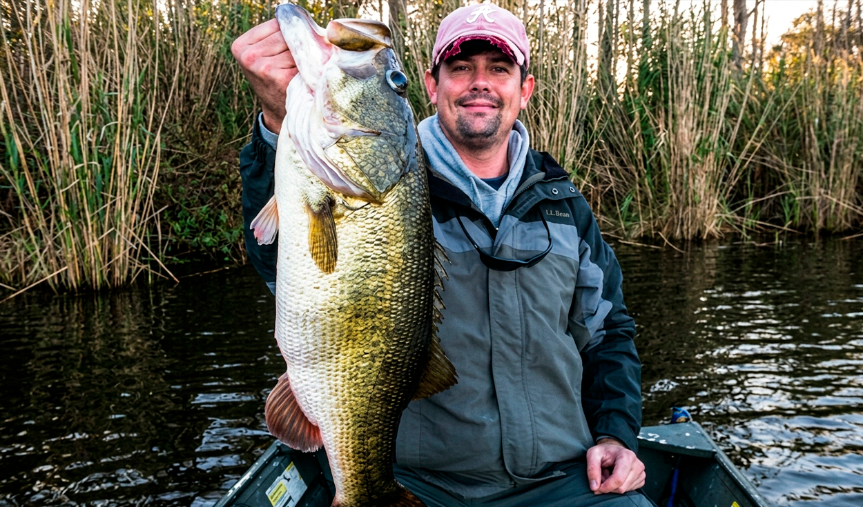 Un hombre transformó un antiguo terreno de maní en un lago para criar peces, pero la fauna silvestre se apoderó del lugar: así cambió todo en solo 1.000 días