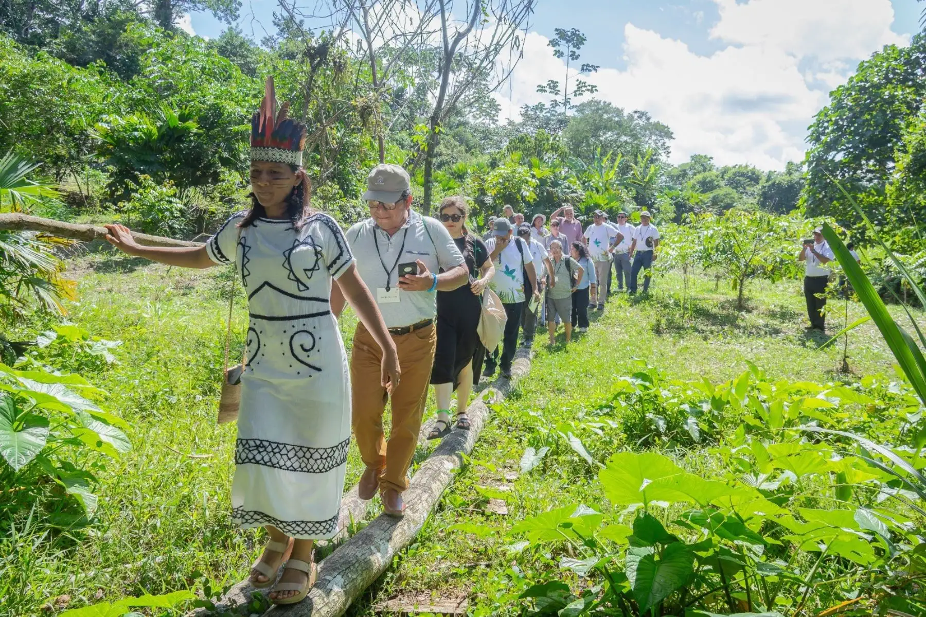 Perú participó en Comité Forestal de la FAO y promovió atención sobre bosques amazónicos