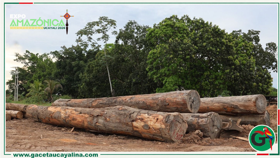 Expo Amazónica 2026 mostrará viviendas temporales de madera para emergencias amazónicas