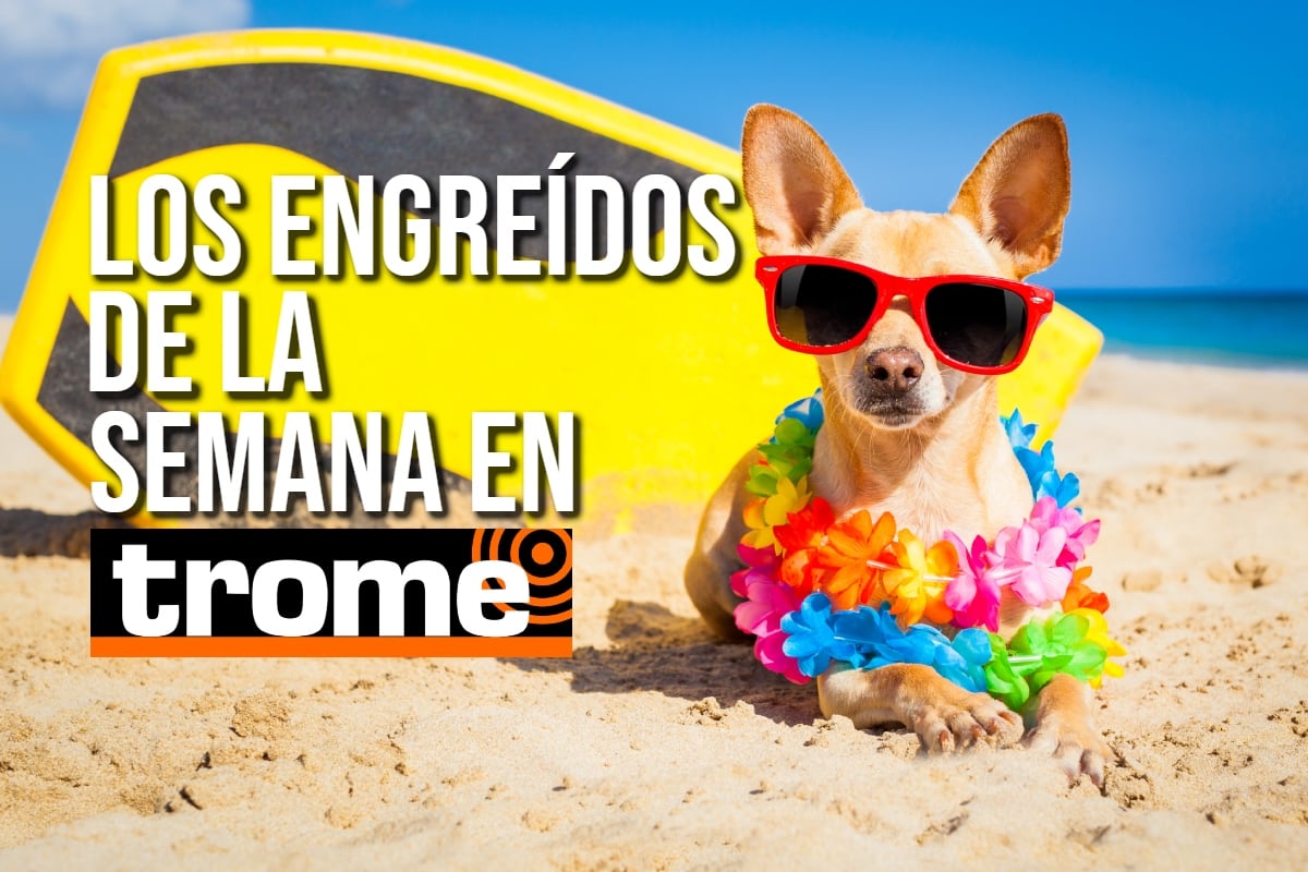 ¡Ellos mandan en casa! Conoce a los engreídos de la semana