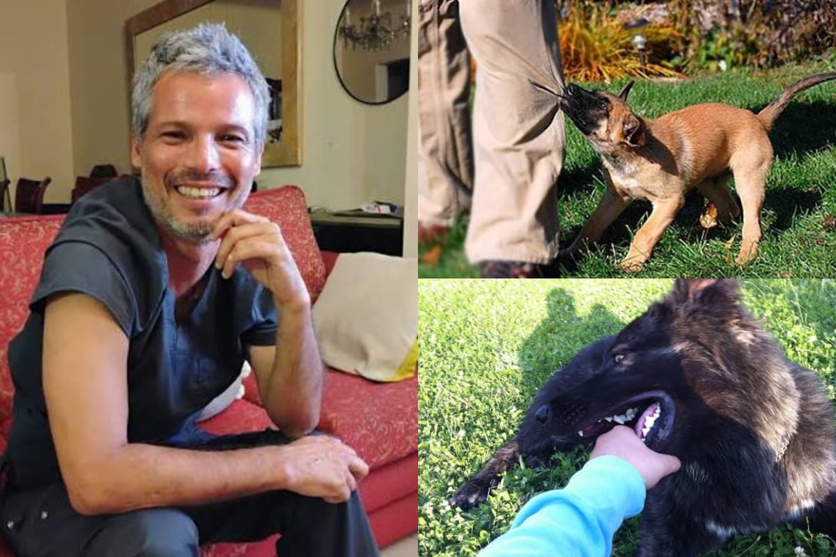 Veterinario, Pancho Cavero explica: “Cuando tu perro te da mordiscos suaves, no quiere hacerte daño, sino es una forma de comunicación desde sus primeros días de vida”