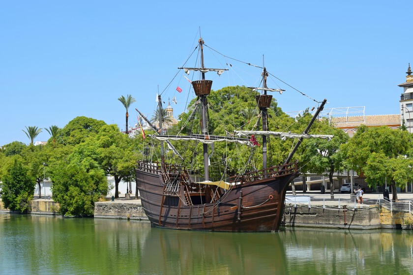 El Guadalquivir no es un río, es una puerta: por qué las especies invasoras de medio mundo entran en Andalucía por Sevilla