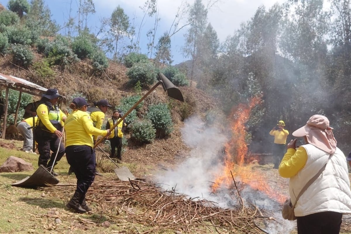 Cusco: Serfor capacitará a más de 400 brigadistas para prevenir incendios forestales