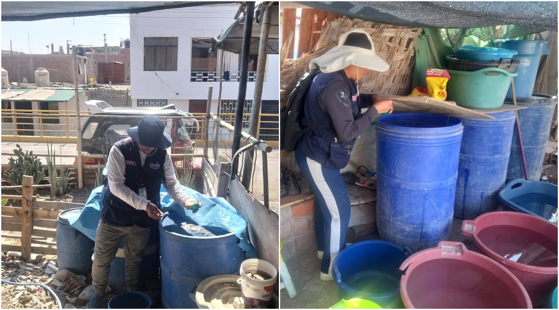 Pisco: refuerzan lucha contra el dengue con control de criaderos en San Clemente