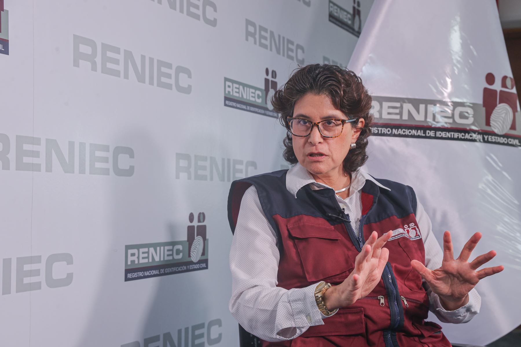 ERM 2026: Jefa del Reniec invoca a ciudadanos a recoger su DNI para votar este domingo