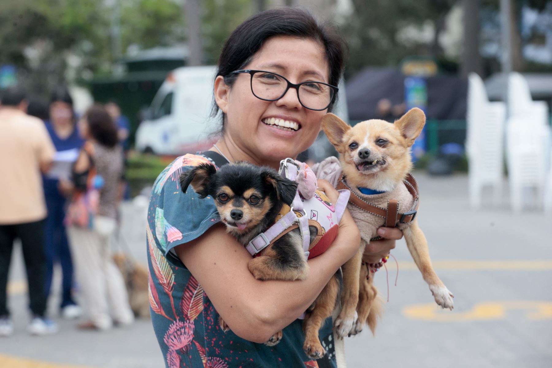 Accede a servicios veterinarios gratuitos en el Circuito Mágico de Agua hoy domingo