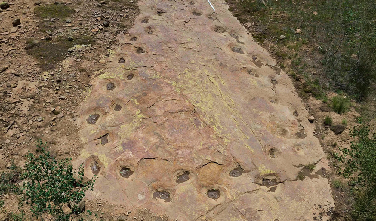 Unas huellas de dinosaurios de 150 millones de años revelan algo extraño en su forma de caminar
