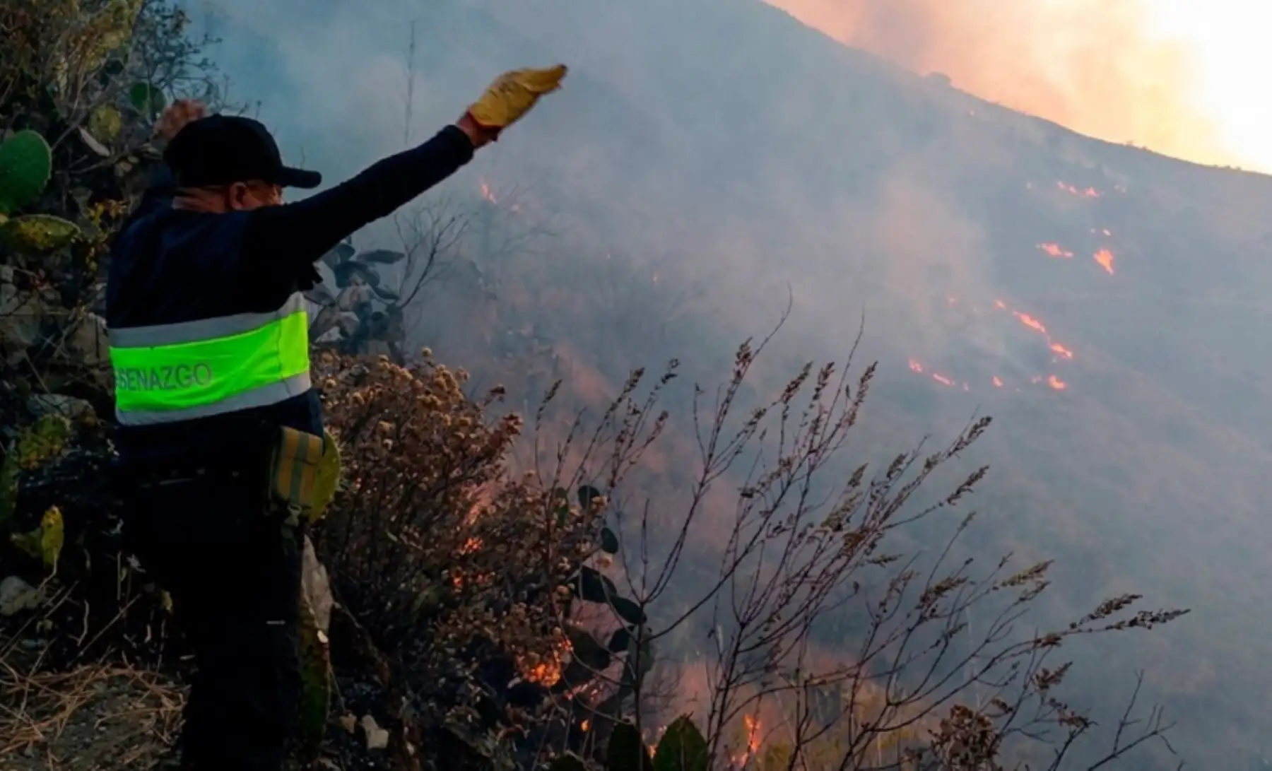 Extinguen 4 incendios forestales en Arequipa, Pasco, Puno y Ucayali