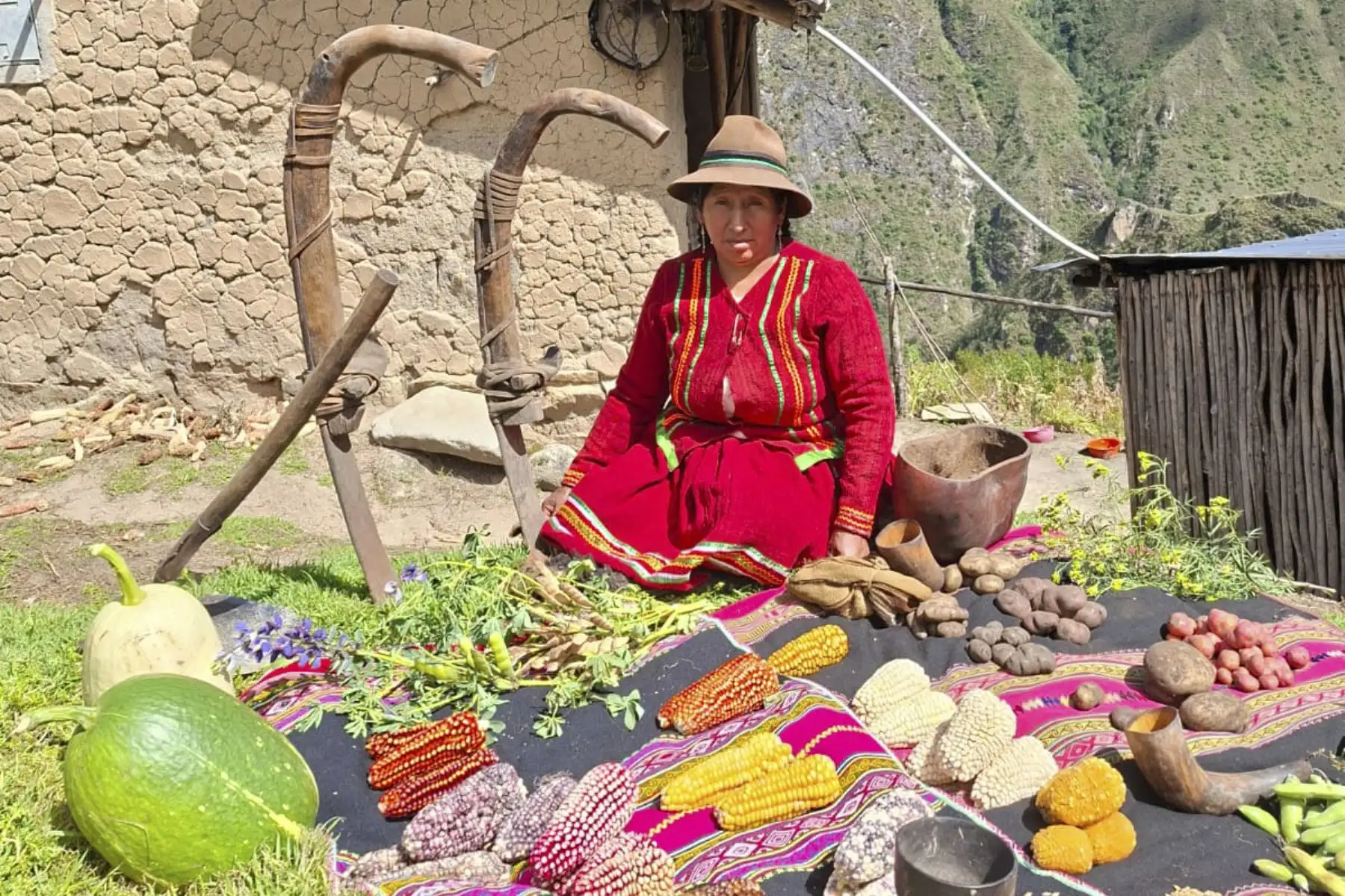 FAO reconoce a peruana Rita Parcco como 'mujer heroína en sistemas agroalimentarios'