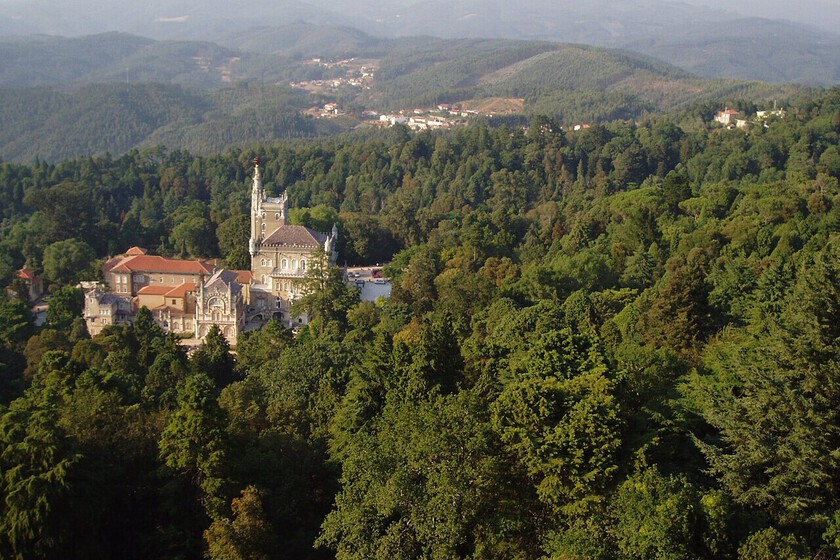 En la península ibérica hay muchos bosques, pero solo uno puede presumir de tener árboles "terapéuticos": Bussaco
