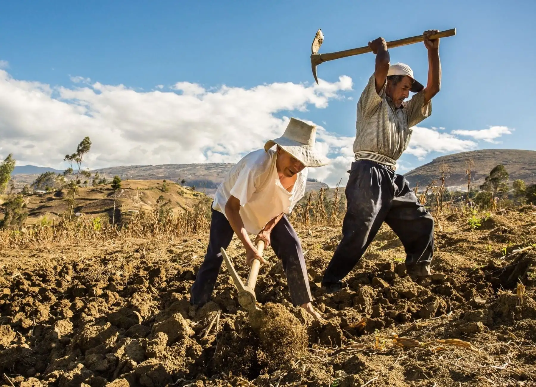 Perú mejoraría condiciones del Seguro Agrario Catastrófico a partir del próximo año