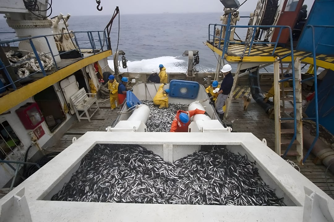 El Niño: Produce declara en emergencia a la pesca y acuicultura