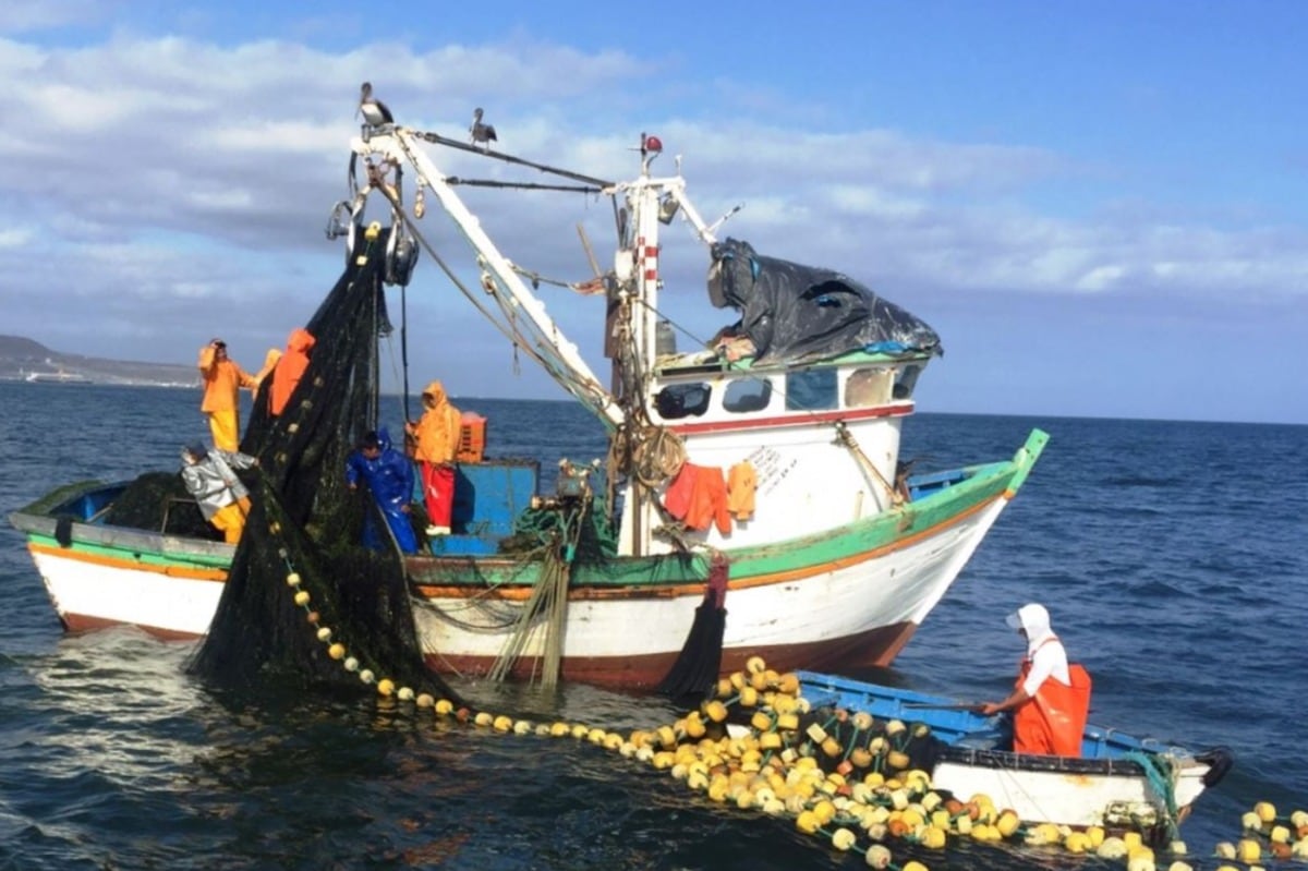 SNI: 82% de empresarios pesqueros prevé una alta o muy alta afectación por el fenómeno de El Niño