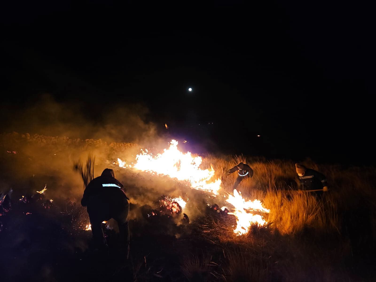 Puno: Incendio forestal deja una adulta mayor fallecida y más de 1 500 hectáreas de pastos afectadas