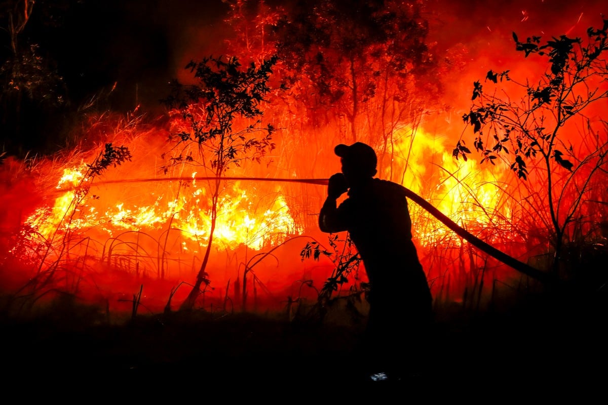 El impacto del fenómeno El Niño esta semana en el mundo