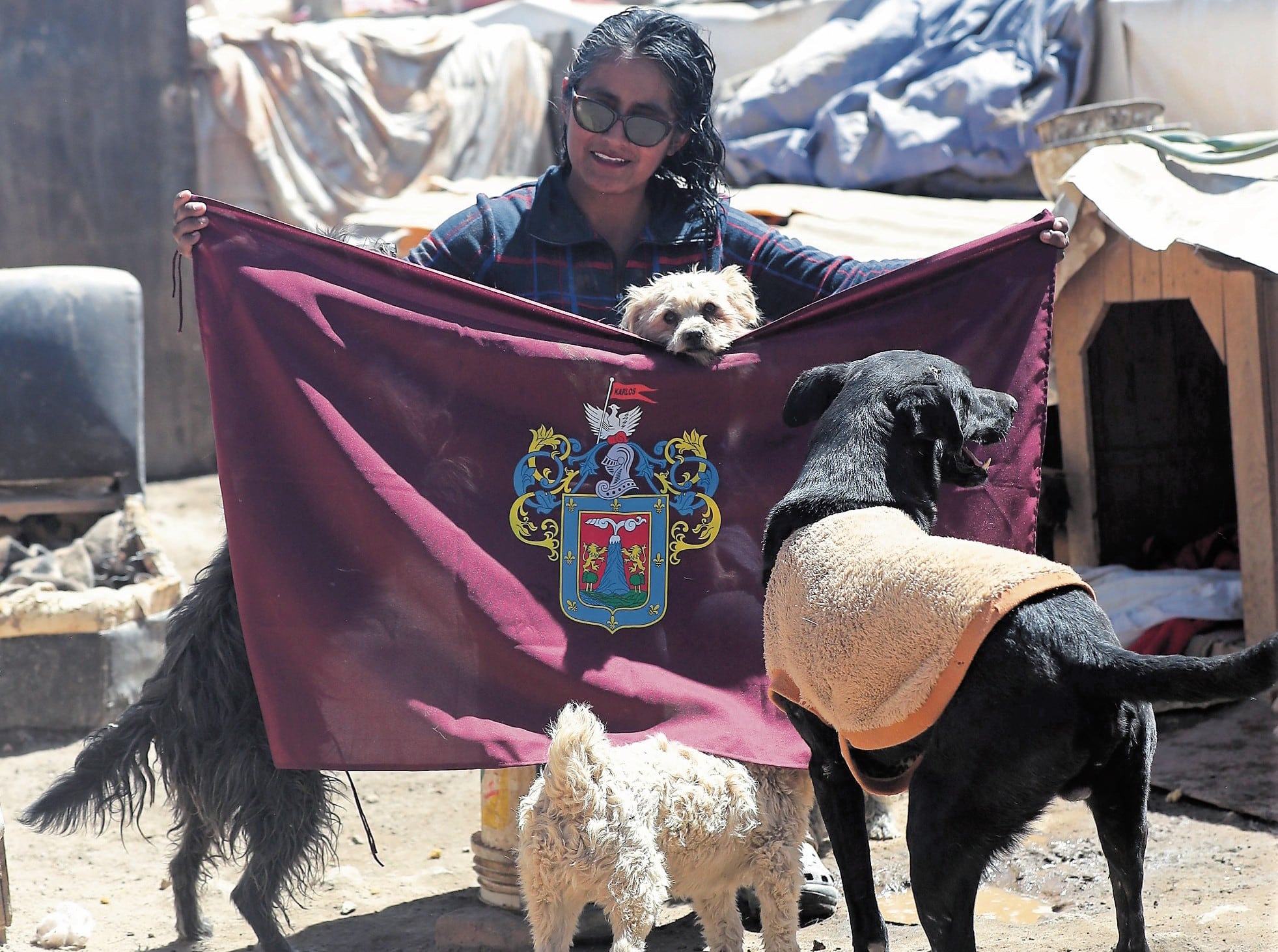 Arequipeña dedica su vida al rescate de perros atropellados