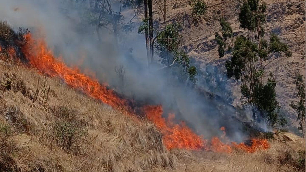 Huancavelica: incendio forestal deja cuatro heridos y destruye vivienda del alcalde de Chupamarca