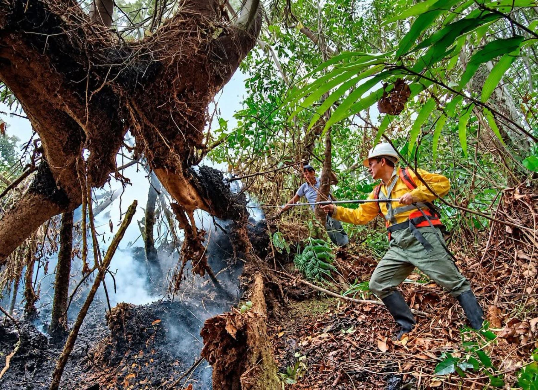 Machu Picchu: controlan un incendio forestal en la zona de amortiguamiento del Santuario
