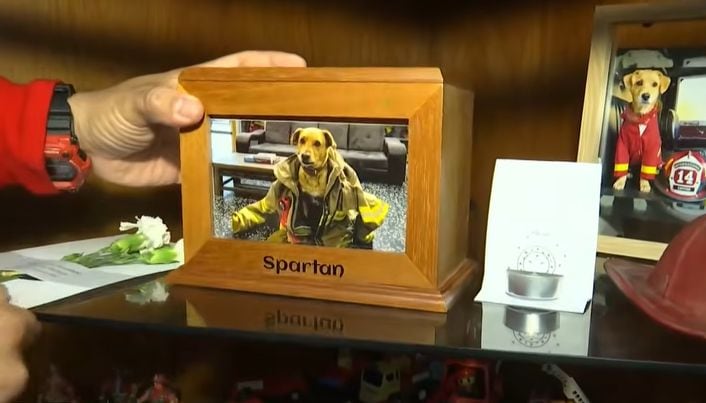 Bomberos de Breña rinden homenaje a su perro Spartan, que falleció a los 12 años por cáncer