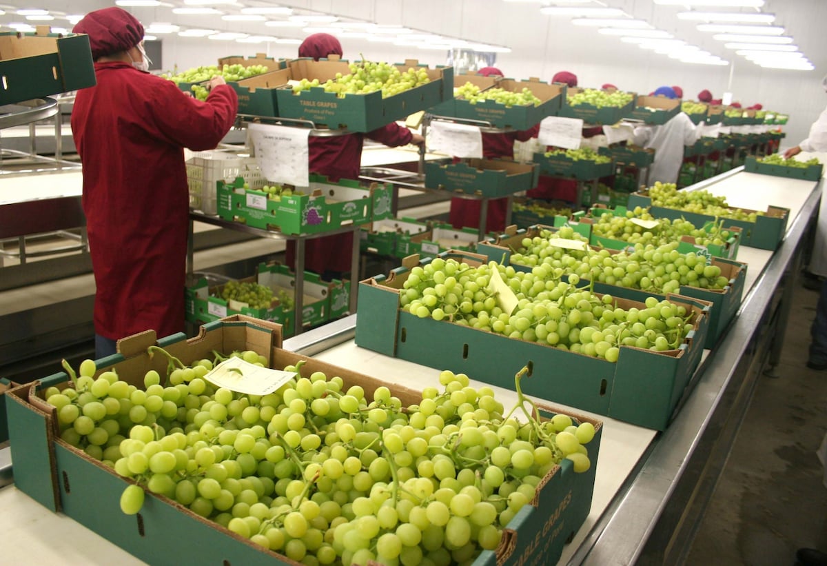 Envíos de frutas y hortalizas suman casi US$ 4,000 millones: estas son las más vendidas