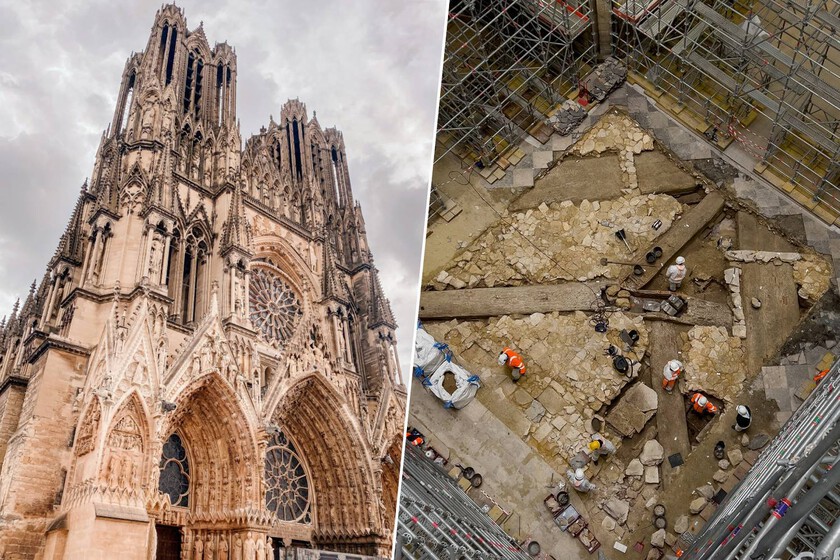 Tras el incendio de Notre-Dame, París solo quería reconstruirla y darle sombra con árboles: la tierra le devolvió Lutecia