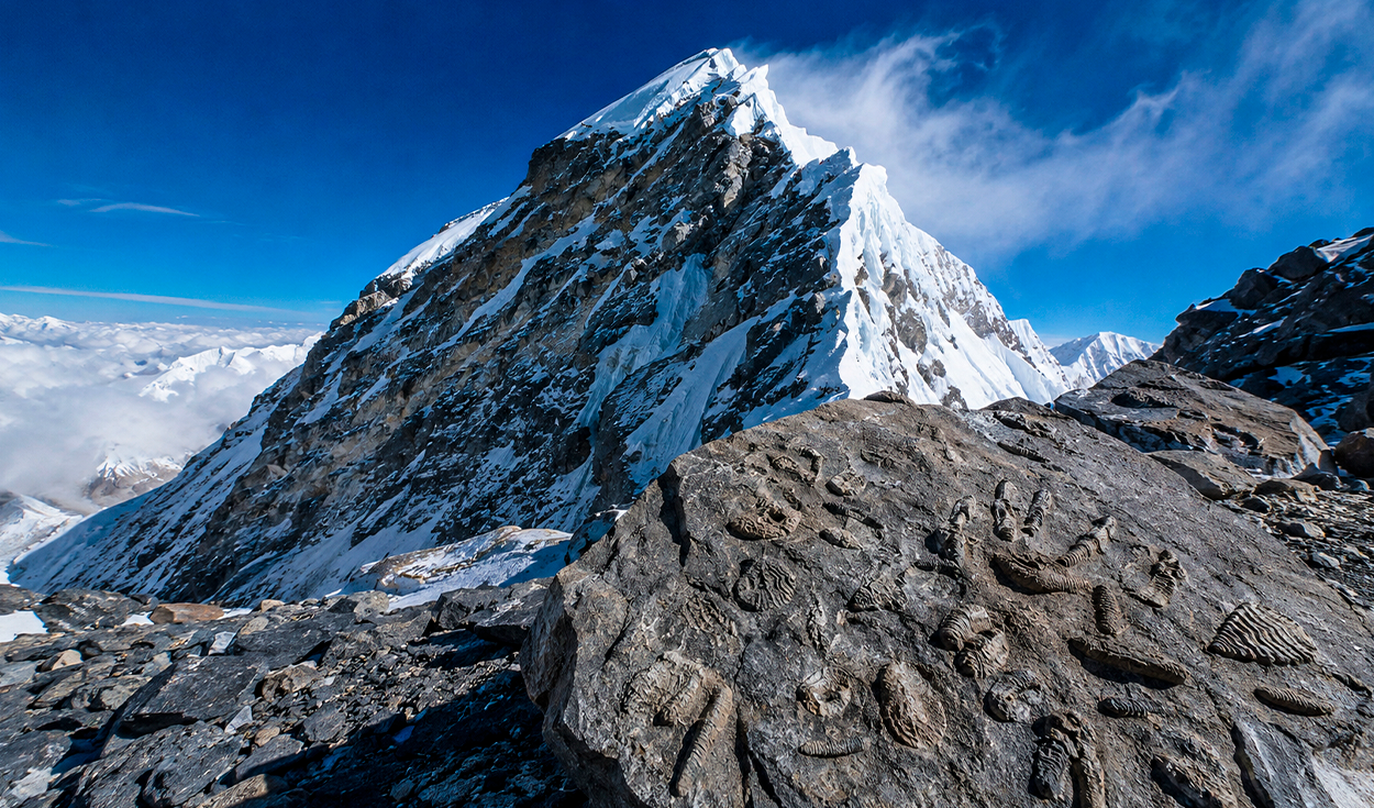 Fósiles marinos de 450 millones de años revelan el pasado del Everest: la cumbre más alta de la Tierra nació de un antiguo mar bajo el Himalaya