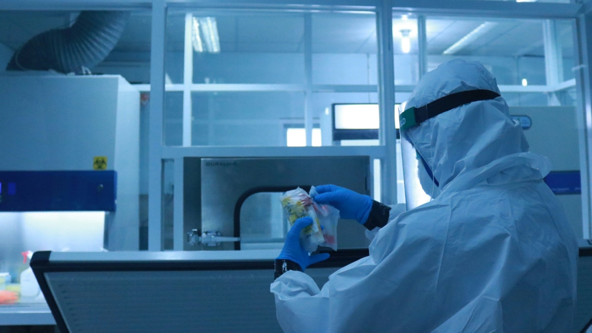 Francia: muere una persona con el virus shamonda, que se creía no transmisible a los humanos
