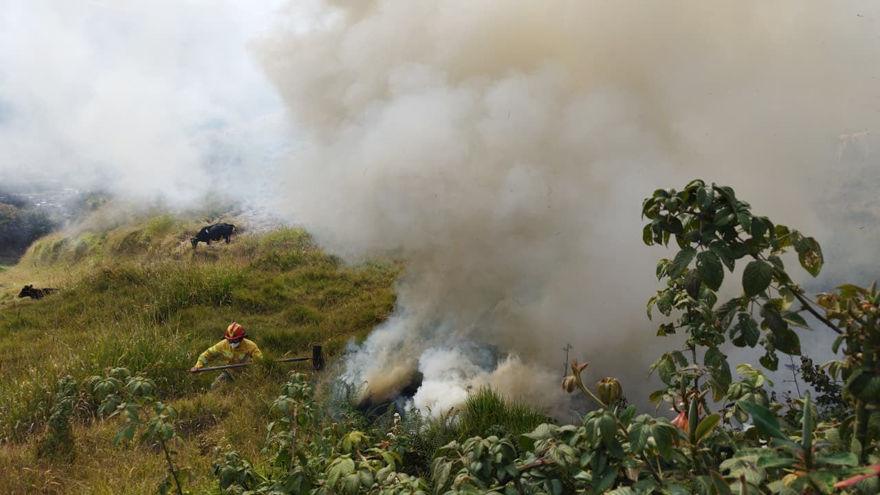 Incendios forestales: qué hacer ante el humo y cómo actuar frente a una quemadura