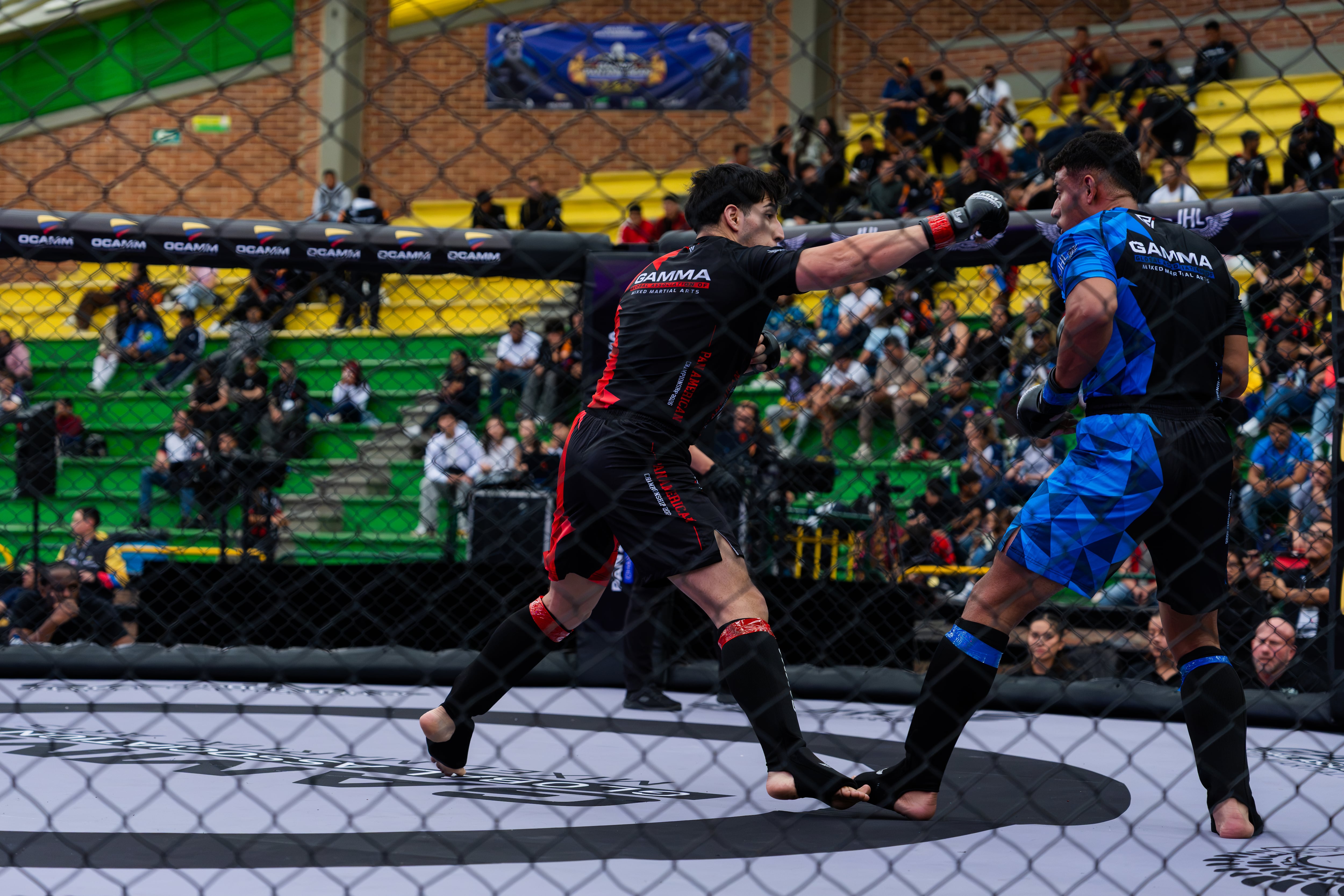 Histórico papel de México en el Panamericano de MMA con un semillero que da frutos y apunta a la UFC