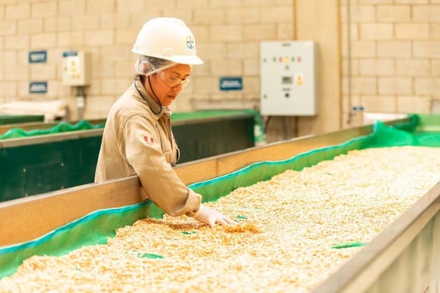 Bayer: semillas y autocuidado, los negocios con los que busca crecer en Perú