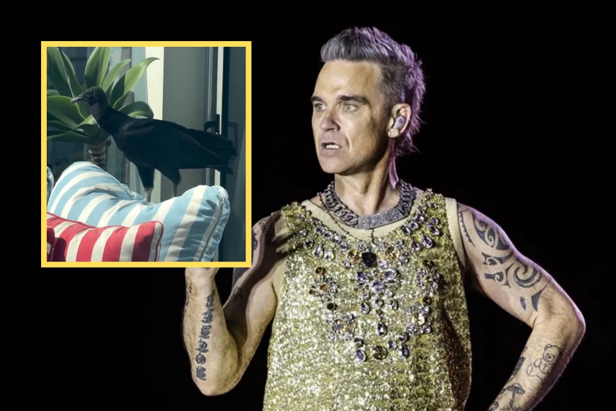 “Un famoso de verdad”: Serfor destaca el gesto de Robbie Williams al fotografiar a un gallinazo en Lima