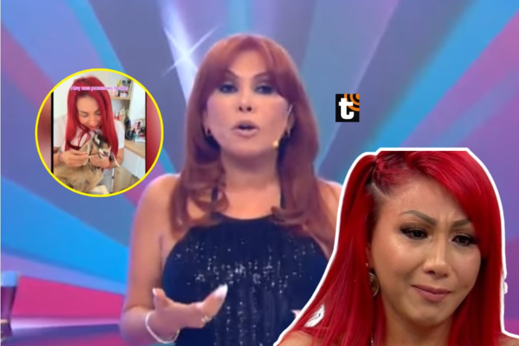 Magaly ‘da con palo’ a Deysi Araujo por tener cabrita en su depa y le quita su apoyo: “Es maltrato animal”