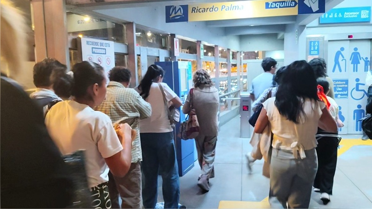 Metropolitano: estación Ricardo Palma reabre tras retiro de panal de abejas