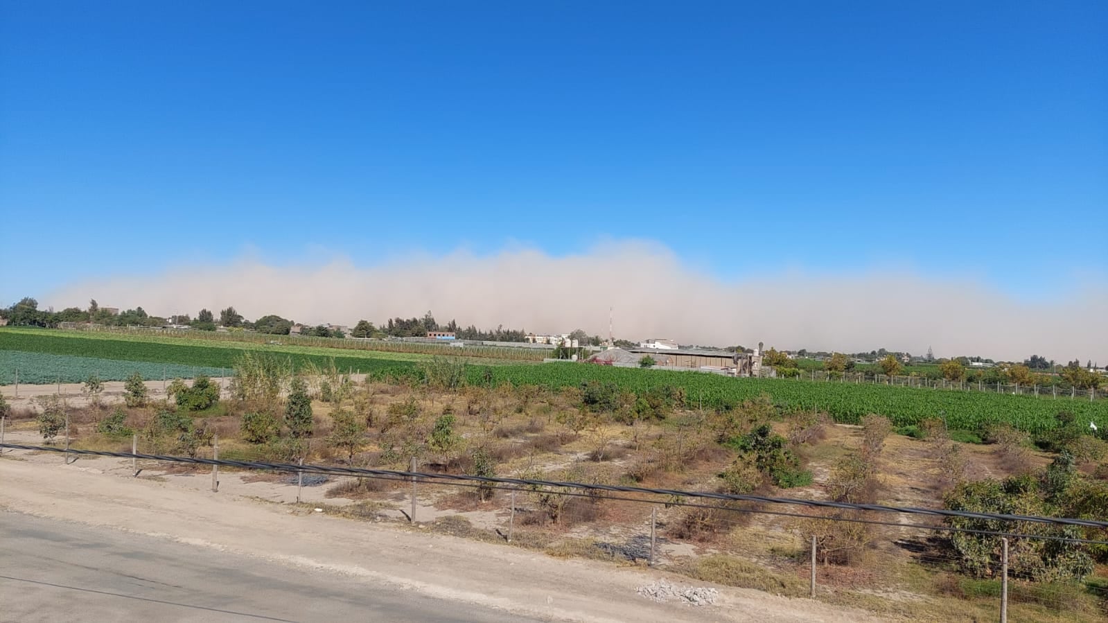 Arequipa: Persisten vientos de más de 20 km/h en la costa y alerta por incendios en la sierra