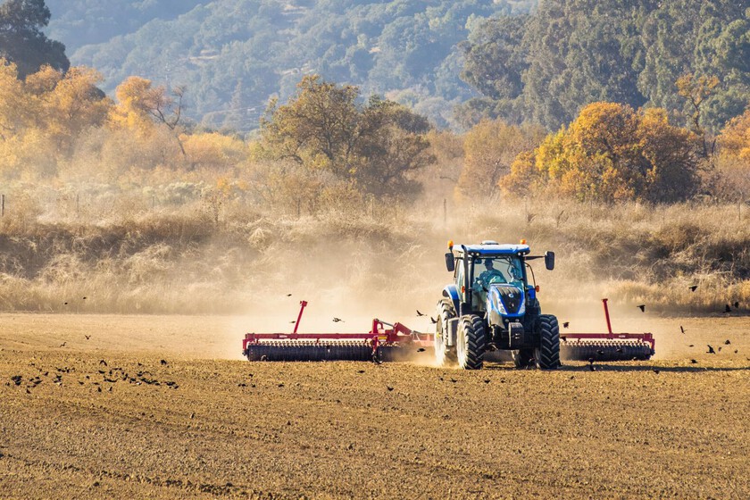 La corriente del Atlántico podría cambiar algo más que el clima: también pondría en jaque nuestra comida