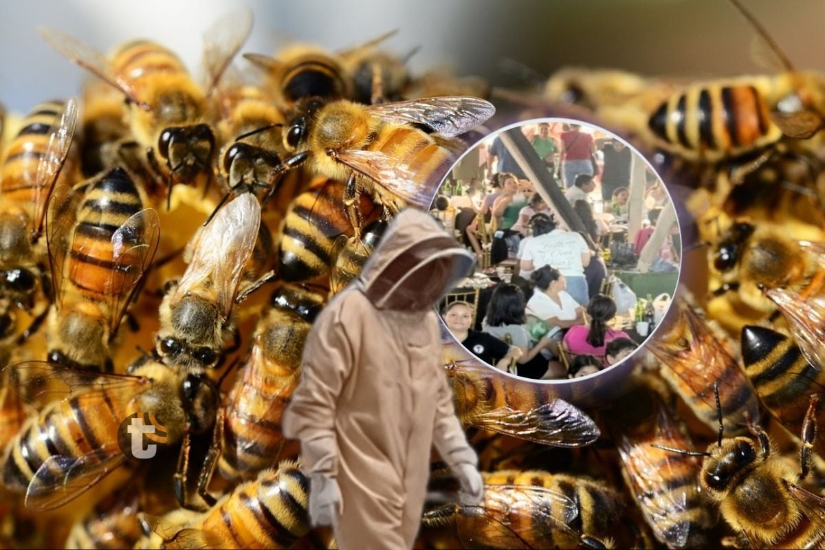 Abejas atacan a decenas de personas y ‘tumban’ fiestón en San Martín [VIDEO]