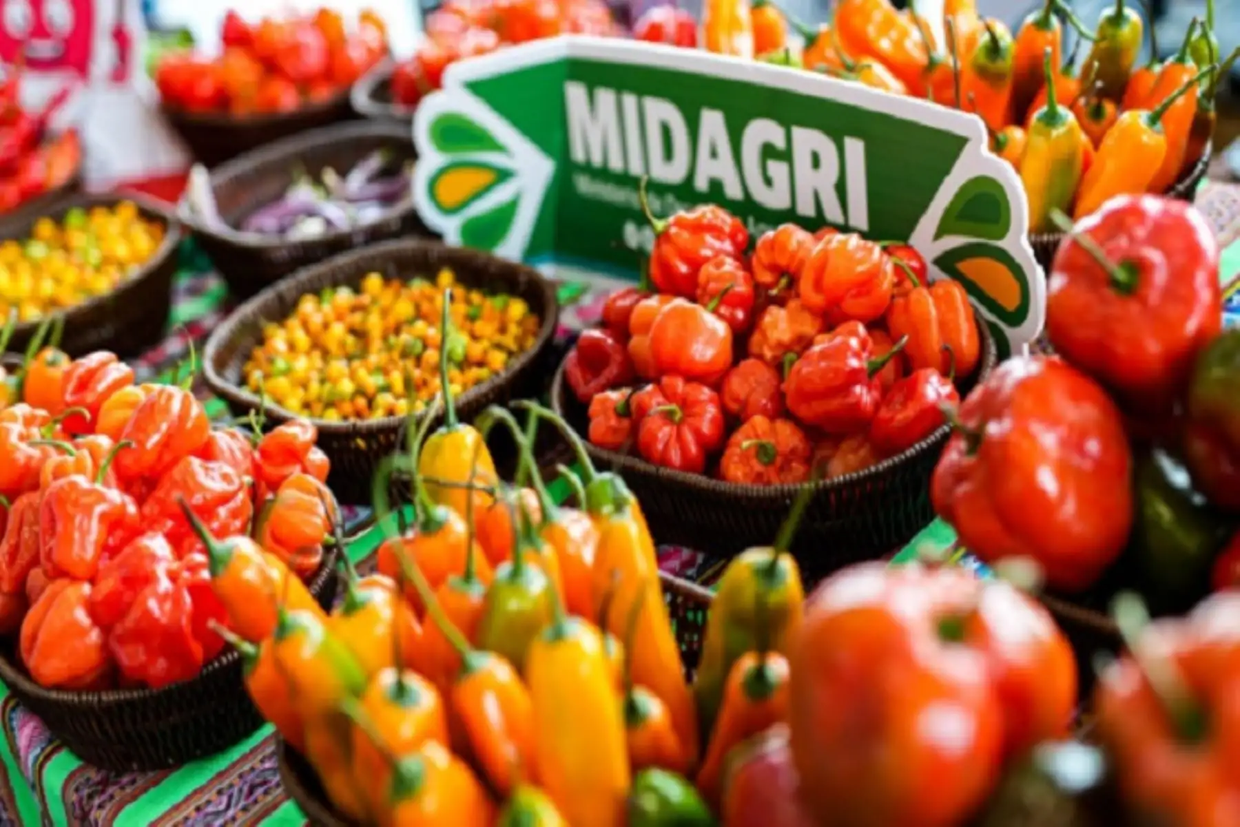 Más de 200 mil toneladas de ajíes se producen al año en el país destaca sector Agricultura